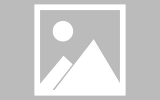 滕州网站建设许昌论坛（许昌网站seo）